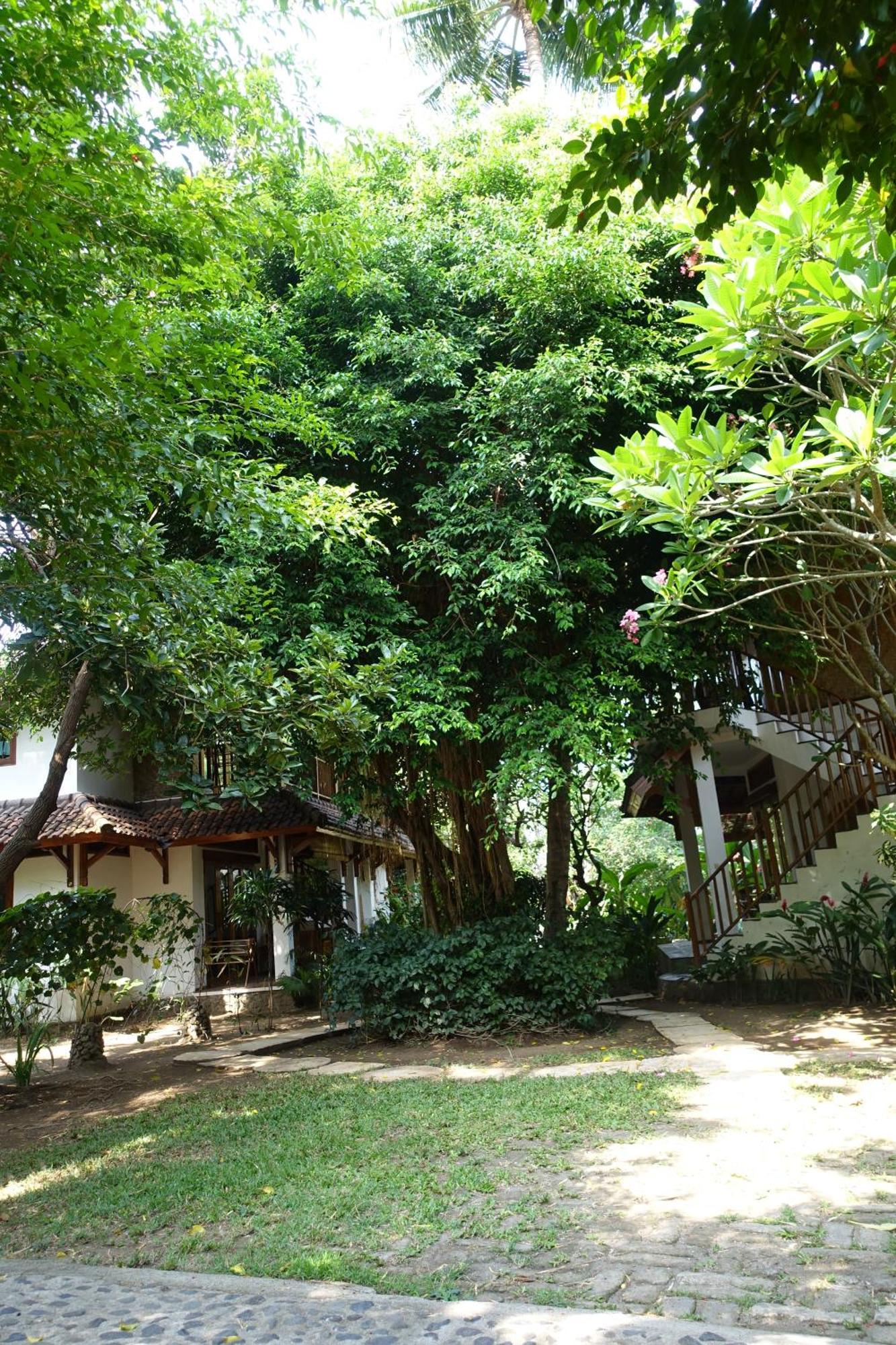 Villa Jati Mangsit Senggigi Εξωτερικό φωτογραφία